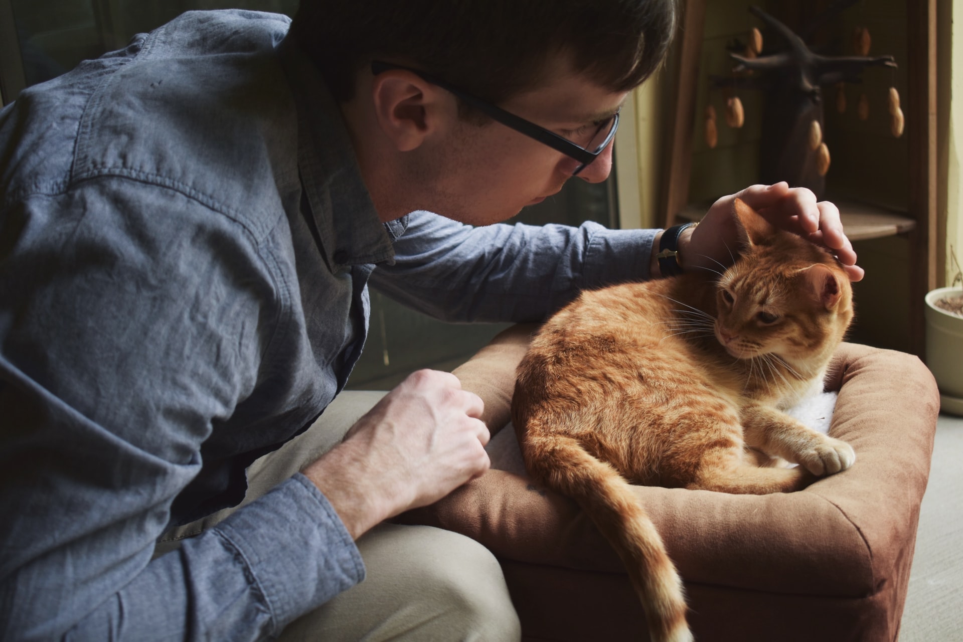 veterinarian
