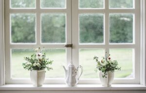 plants